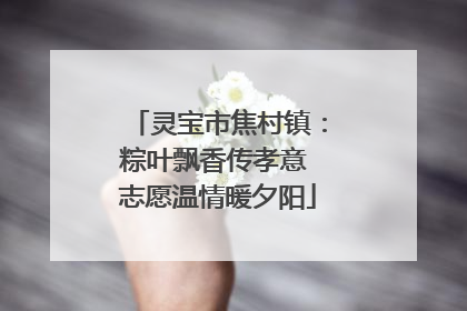 灵宝市焦村镇：粽叶飘香传孝意 志愿温情暖夕阳