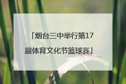 烟台三中举行第17届体育文化节篮球赛