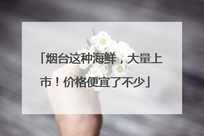 烟台这种海鲜，大量上市！价格便宜了不少