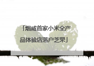 烟威首家小米全产品体验店落户芝罘
