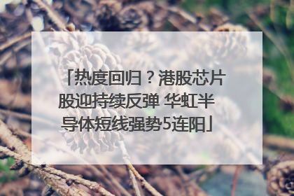 热度回归？港股芯片股迎持续反弹 华虹半导体短线强势5连阳