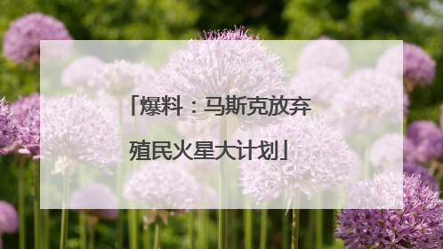 爆料：马斯克放弃殖民火星大计划