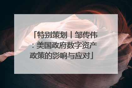 特别策划丨邹传伟：美国政府数字资产政策的影响与应对