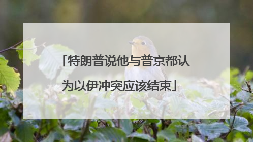 特朗普说他与普京都认为以伊冲突应该结束