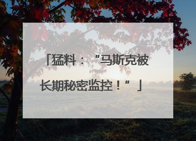 猛料：“马斯克被长期秘密监控！”