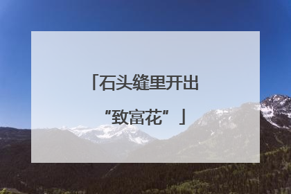 石头缝里开出“致富花”