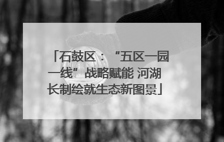 石鼓区：“五区一园一线”战略赋能 河湖长制绘就生态新图景