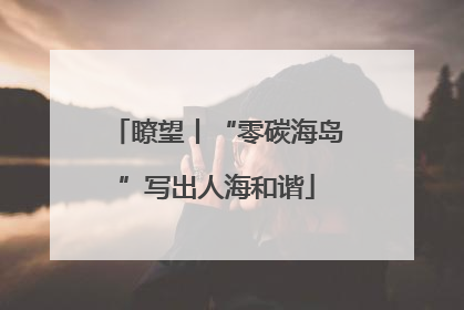 瞭望丨“零碳海岛”写出人海和谐