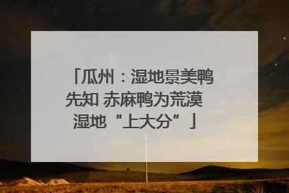 瓜州：湿地景美鸭先知 赤麻鸭为荒漠湿地“上大分”