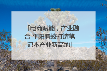 电商赋能，产业融合 平阳腾蛟打造笔记本产业新高地