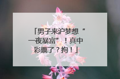 男子来沪梦想“一夜暴富”！真中彩票了？拘！