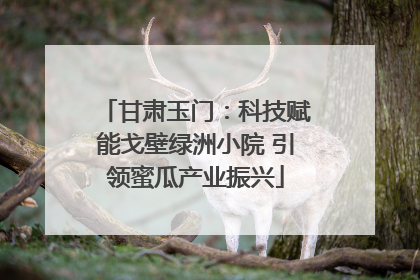 甘肃玉门：科技赋能戈壁绿洲小院 引领蜜瓜产业振兴