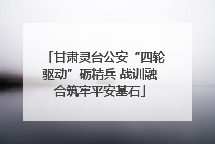 甘肃灵台公安“四轮驱动”砺精兵 战训融合筑牢平安基石