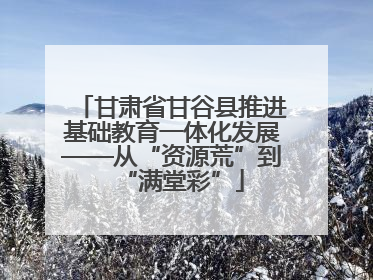 甘肃省甘谷县推进基础教育一体化发展——从“资源荒”到“满堂彩”