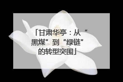甘肃华亭：从“黑煤”到“绿链”的转型突围