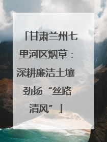 甘肃兰州七里河区烟草：深耕廉洁土壤 劲扬“丝路清风”