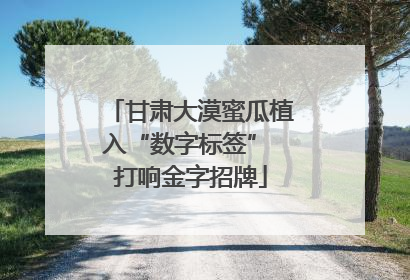 甘肃大漠蜜瓜植入“数字标签” 打响金字招牌