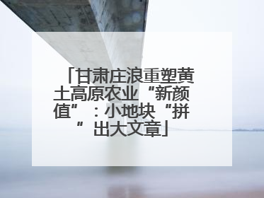 甘肃庄浪重塑黄土高原农业“新颜值”：小地块“拼”出大文章