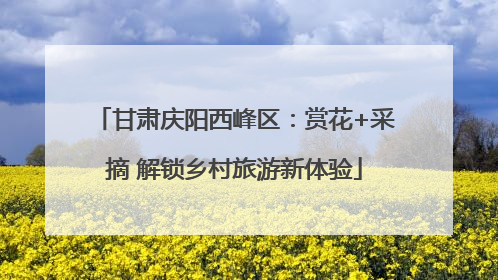甘肃庆阳西峰区：赏花+采摘 解锁乡村旅游新体验