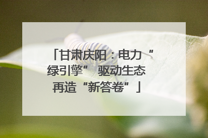 甘肃庆阳：电力“绿引擎” 驱动生态再造“新答卷”