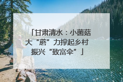 甘肃清水：小菌菇大“蘑”力撑起乡村振兴“致富伞”