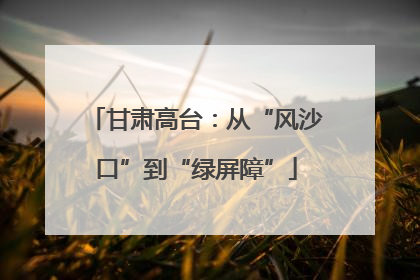 甘肃高台：从“风沙口”到“绿屏障”