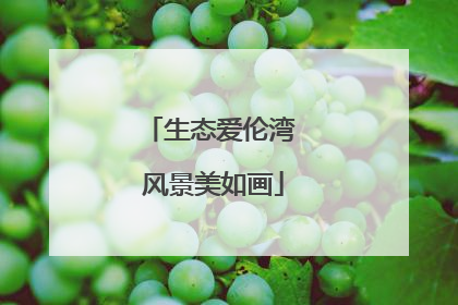 生态爱伦湾 风景美如画