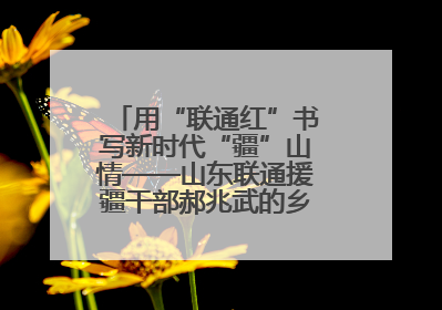 用“联通红”书写新时代“疆”山情——山东联通援疆干部郝兆武的乡村振兴答卷