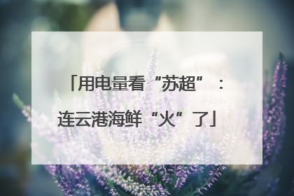 用电量看“苏超”：连云港海鲜“火”了