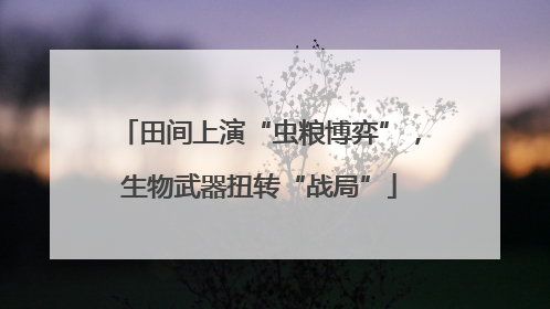 田间上演“虫粮博弈”，生物武器扭转“战局”