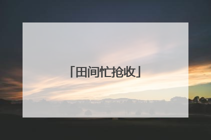 田间忙抢收