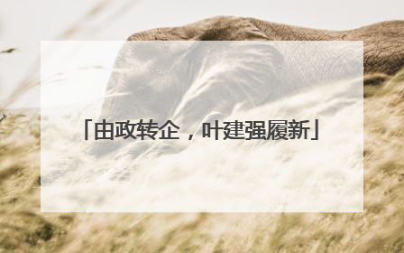 由政转企，叶建强履新