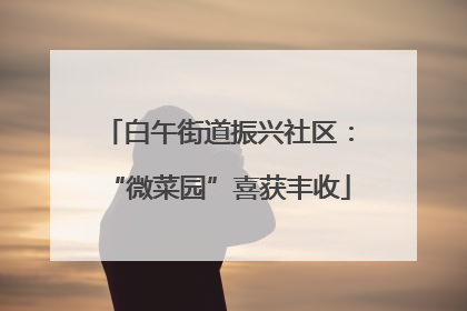 白午街道振兴社区：“微菜园”喜获丰收