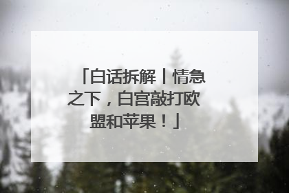 白话拆解丨情急之下，白宫敲打欧盟和苹果！