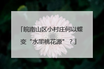 皖南山区小村庄何以蝶变“水墨桃花源”？