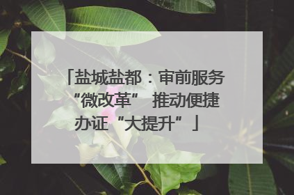 盐城盐都：审前服务“微改革” 推动便捷办证“大提升”