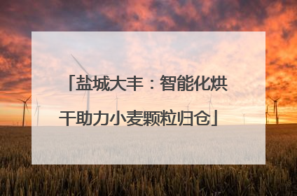 盐城大丰：智能化烘干助力小麦颗粒归仓