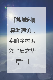 盐城射阳县海通镇：奏响乡村振兴“夏之华章”