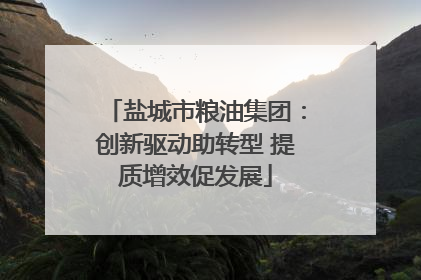 盐城市粮油集团：创新驱动助转型 提质增效促发展