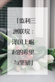 监利三洲联垸：泽国上崛起的希望与坚韧
