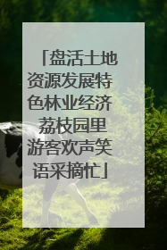 盘活土地资源发展特色林业经济 荔枝园里游客欢声笑语采摘忙