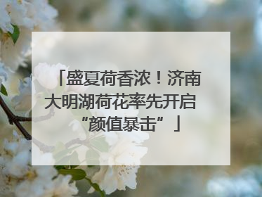 盛夏荷香浓！济南大明湖荷花率先开启“颜值暴击”