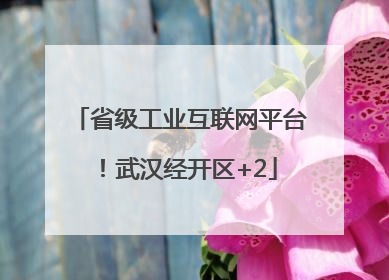 省级工业互联网平台！武汉经开区+2
