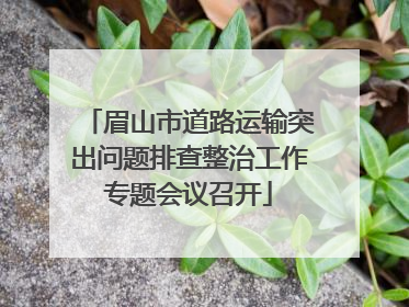 眉山市道路运输突出问题排查整治工作专题会议召开