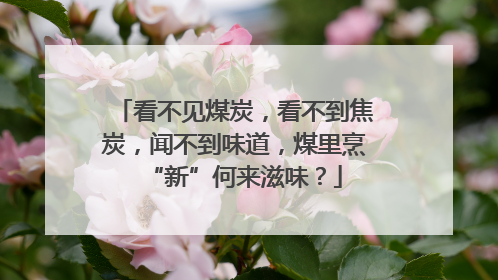 看不见煤炭，看不到焦炭，闻不到味道，煤里烹“新”何来滋味？