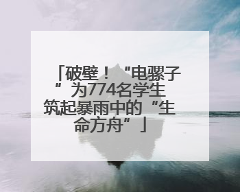 破壁！“电骡子”为774名学生筑起暴雨中的“生命方舟”