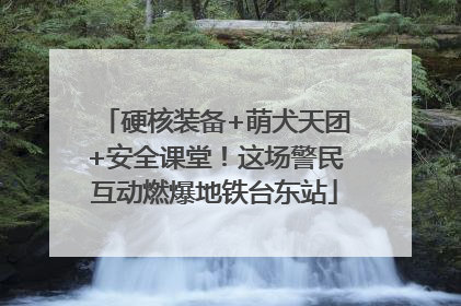 硬核装备+萌犬天团+安全课堂！这场警民互动燃爆地铁台东站