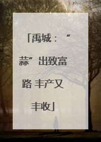 禹城：“蒜”出致富路 丰产又丰收