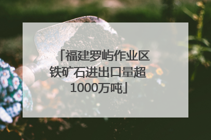 福建罗屿作业区铁矿石进出口量超1000万吨