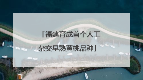 福建育成首个人工杂交早熟黄桃品种